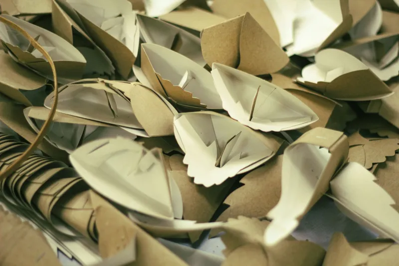 Fold or Be Folded: The Ruthlessly Precise World of Competitive Origami
